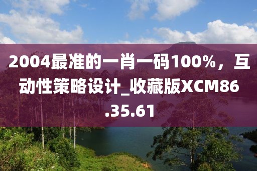 2004最準(zhǔn)的一肖一碼100%，互動(dòng)性策略設(shè)計(jì)_收藏版XCM86.35.61