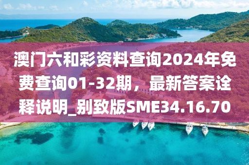 澳門六和彩資料查詢2024年免費查詢01-32期，最新答案詮釋說明_別致版SME34.16.70