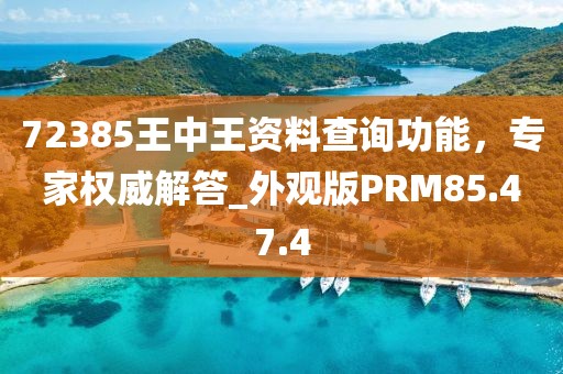 72385王中王資料查詢功能，專家權威解答_外觀版PRM85.47.4