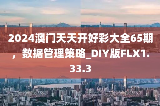 2024澳門天天開好彩大全65期，數(shù)據(jù)管理策略_DIY版FLX1.33.3