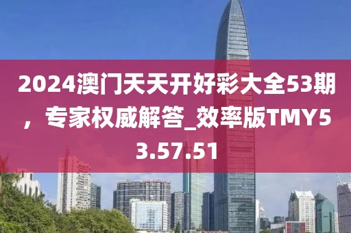 2024澳門天天開好彩大全53期，專家權威解答_效率版TMY53.57.51