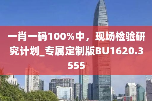 一肖一碼100%中，現(xiàn)場(chǎng)檢驗(yàn)研究計(jì)劃_專屬定制版BU1620.3555