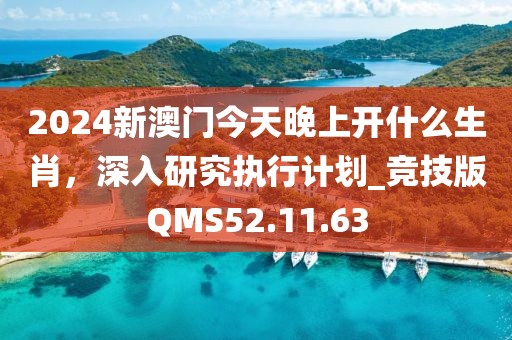 2024新澳門今天晚上開什么生肖，深入研究執(zhí)行計(jì)劃_競(jìng)技版QMS52.11.63