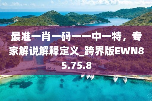 最準(zhǔn)一肖一碼一一中一特，專家解說解釋定義_跨界版EWN85.75.8