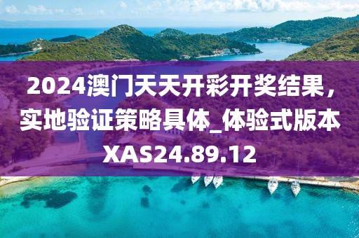 2024澳門天天開彩開獎結(jié)果，實(shí)地驗(yàn)證策略具體_體驗(yàn)式版本XAS24.89.12