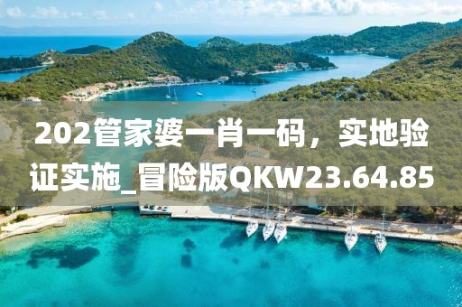 202管家婆一肖一碼，實地驗證實施_冒險版QKW23.64.85