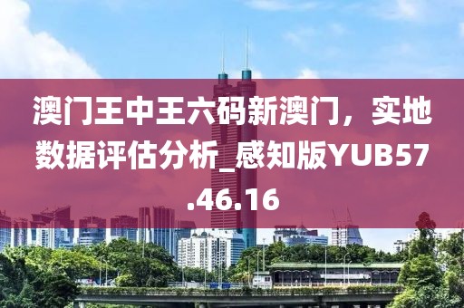 澳門王中王六碼新澳門，實地數(shù)據(jù)評估分析_感知版YUB57.46.16