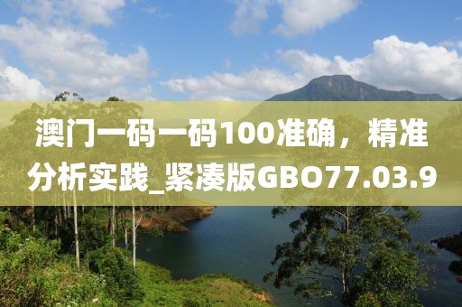 澳門一碼一碼100準(zhǔn)確，精準(zhǔn)分析實(shí)踐_緊湊版GBO77.03.9