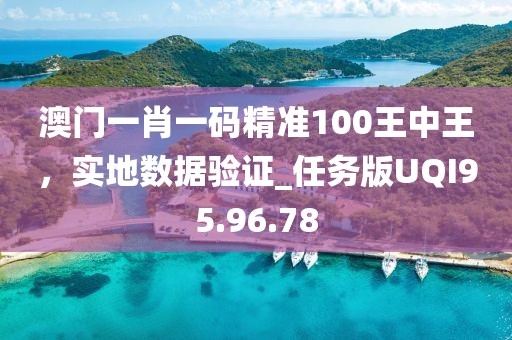 澳門一肖一碼精準100王中王，實地數(shù)據(jù)驗證_任務版UQI95.96.78