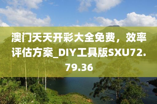 澳門(mén)天天開(kāi)彩大全免費(fèi)，效率評(píng)估方案_DIY工具版SXU72.79.36