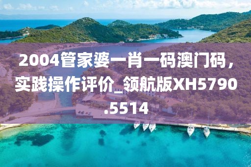 2004管家婆一肖一碼澳門碼，實踐操作評價_領航版XH5790.5514