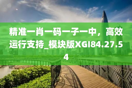 精準(zhǔn)一肖一碼一子一中，高效運(yùn)行支持_模塊版XGI84.27.54