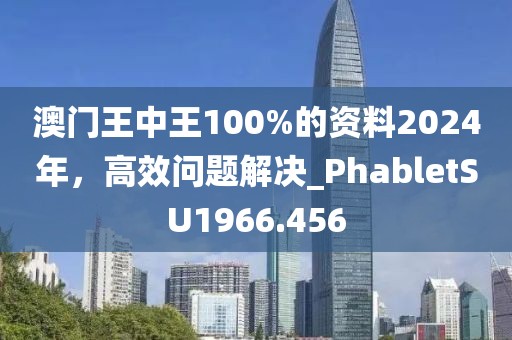 澳門王中王100%的資料2024年，高效問題解決_PhabletSU1966.456