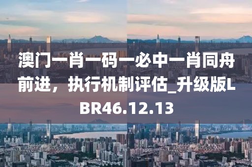 澳門一肖一碼一必中一肖同舟前進(jìn)，執(zhí)行機(jī)制評估_升級版LBR46.12.13
