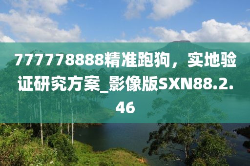 777778888精準跑狗，實地驗證研究方案_影像版SXN88.2.46