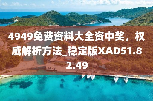 4949免費(fèi)資料大全資中獎(jiǎng)，權(quán)威解析方法_穩(wěn)定版XAD51.82.49