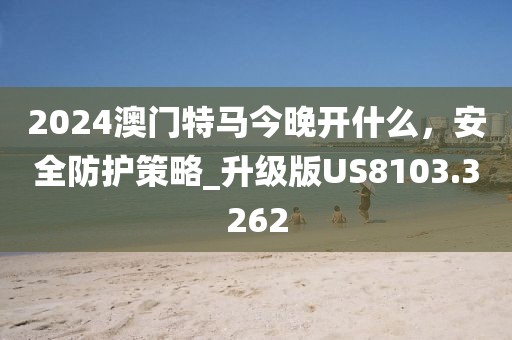 2024澳門特馬今晚開什么，安全防護(hù)策略_升級(jí)版US8103.3262