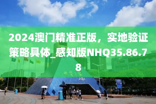 2024澳門精準正版，實地驗證策略具體_感知版NHQ35.86.78