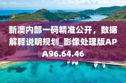 新澳內(nèi)部一碼精準公開，數(shù)據(jù)解釋說明規(guī)劃_影像處理版APA96.64.46