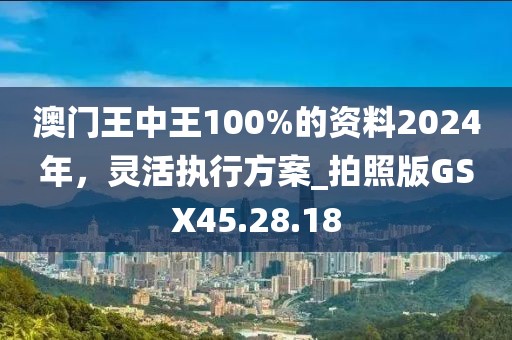 澳門王中王100%的資料2024年，靈活執(zhí)行方案_拍照版GSX45.28.18