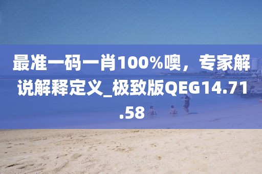 最準一碼一肖100%噢，專家解說解釋定義_極致版QEG14.71.58