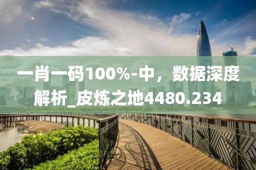 一肖一碼100%-中，數(shù)據(jù)深度解析_皮煉之地4480.234