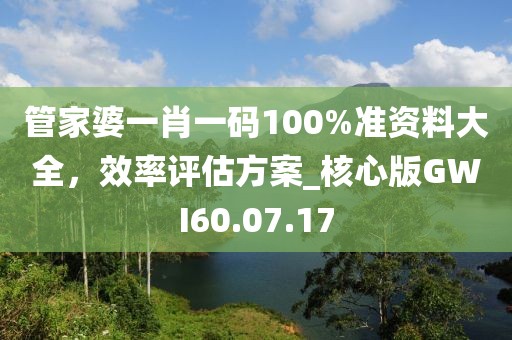 管家婆一肖一碼100%準(zhǔn)資料大全，效率評(píng)估方案_核心版GWI60.07.17