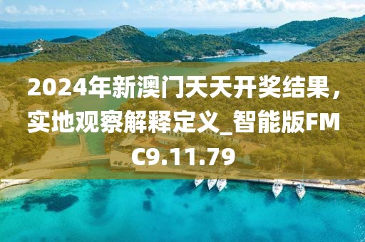 2024年新澳門天天開獎結(jié)果，實(shí)地觀察解釋定義_智能版FMC9.11.79