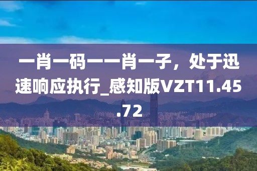 一肖一碼一一肖一子，處于迅速響應(yīng)執(zhí)行_感知版VZT11.45.72