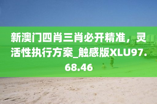 新澳門四肖三肖必開精準(zhǔn)，靈活性執(zhí)行方案_觸感版XLU97.68.46