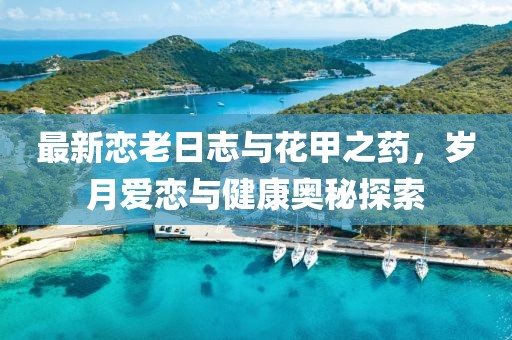 最新戀老日志與花甲之藥，歲月愛(ài)戀與健康奧秘探索