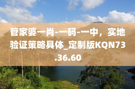 管家婆一肖-一碼-一中，實地驗證策略具體_定制版KQN73.36.60