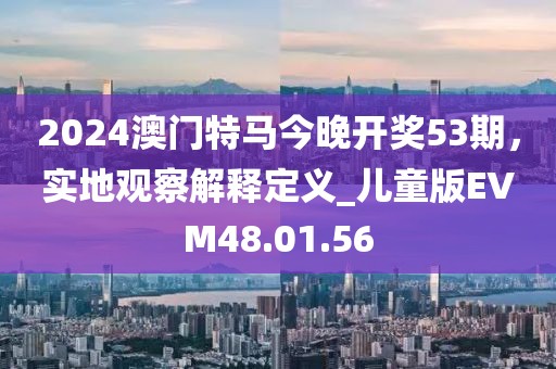2024澳門特馬今晚開獎(jiǎng)53期，實(shí)地觀察解釋定義_兒童版EVM48.01.56