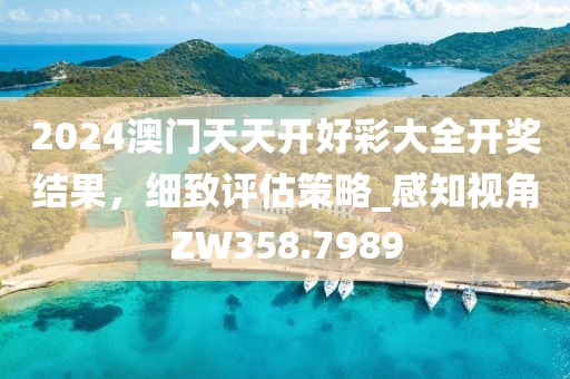 2024澳門天天開好彩大全開獎結(jié)果，細致評估策略_感知視角ZW358.7989