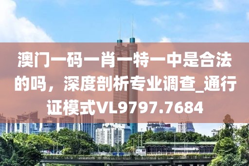澳門一碼一肖一特一中是合法的嗎，深度剖析專業(yè)調(diào)查_通行證模式VL9797.7684