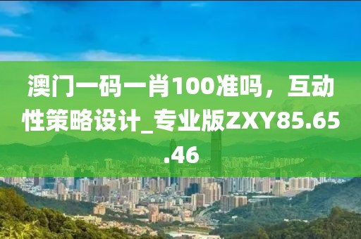 澳門一碼一肖100準(zhǔn)嗎，互動性策略設(shè)計_專業(yè)版ZXY85.65.46