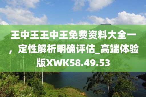 王中王王中王免費(fèi)資料大全一，定性解析明確評(píng)估_高端體驗(yàn)版XWK58.49.53