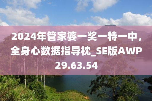 2024年管家婆一獎(jiǎng)一特一中，全身心數(shù)據(jù)指導(dǎo)枕_SE版AWP29.63.54
