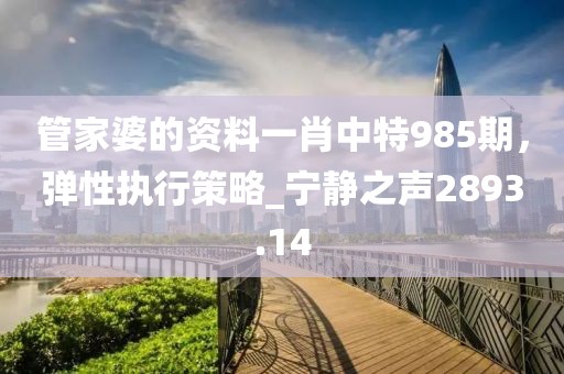管家婆的資料一肖中特985期，彈性執(zhí)行策略_寧靜之聲2893.14