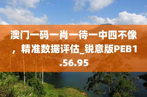 澳門一碼一肖一待一中四不像，精準(zhǔn)數(shù)據(jù)評(píng)估_銳意版PEB1.56.95