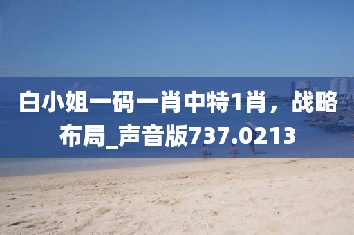 白小姐一碼一肖中特1肖，戰(zhàn)略布局_聲音版737.0213