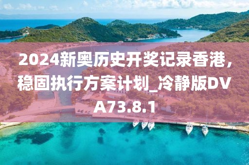 2024新奧歷史開獎記錄香港，穩(wěn)固執(zhí)行方案計劃_冷靜版DVA73.8.1