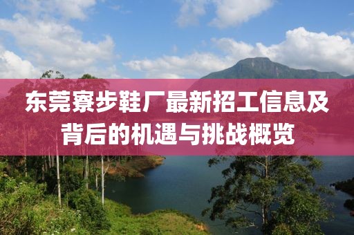 東莞寮步鞋廠最新招工信息及背后的機遇與挑戰(zhàn)概覽