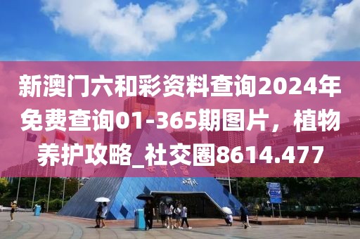 新澳門六和彩資料查詢2024年免費(fèi)查詢01-365期圖片，植物養(yǎng)護(hù)攻略_社交圈8614.477