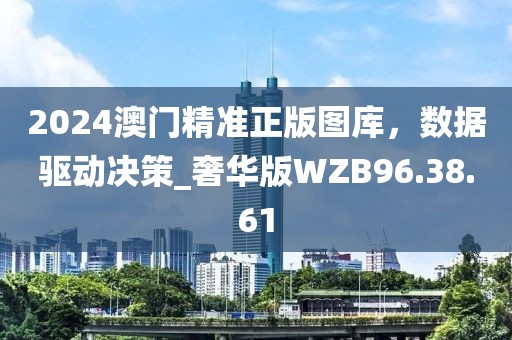2024澳門精準(zhǔn)正版圖庫，數(shù)據(jù)驅(qū)動決策_(dá)奢華版WZB96.38.61