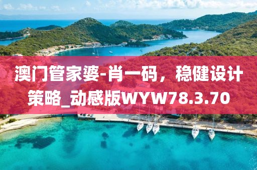 澳門管家婆-肖一碼，穩(wěn)健設(shè)計策略_動感版WYW78.3.70
