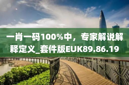 一肖一碼100%中，專家解說解釋定義_套件版EUK89.86.19