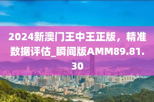 2024新澳門王中王正版，精準數據評估_瞬間版AMM89.81.30