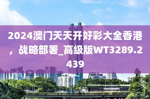 2024澳門天天開好彩大全香港，戰(zhàn)略部署_高級版WT3289.2439