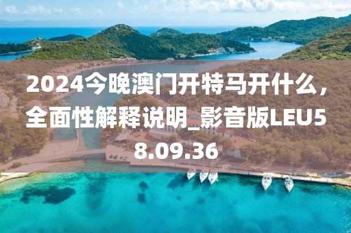 2024今晚澳門開特馬開什么，全面性解釋說明_影音版LEU58.09.36